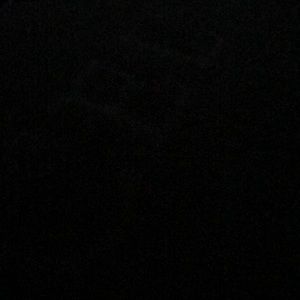 Meet your Posher, Trevor